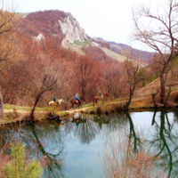 Активный отдых в парке.