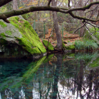 Зеркальный пруд .