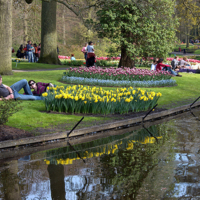 Воскресенье - прудный день