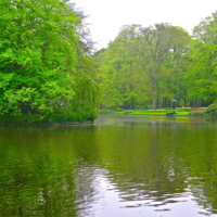 Весенний пруд в  Кюкенхофе.