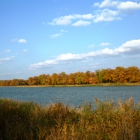 На берегу Затона осень.