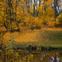 Мне снилась осень...