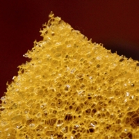 желтая и мокрая