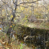 Осень в Кусково