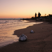 "Пикник на обочине"