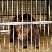 Жизнь в кубе