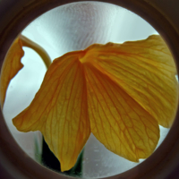 Дверь в лето.