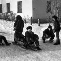 самокатчики перед заездом ...