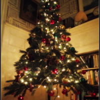 New Year Tree