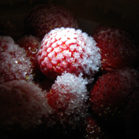 мороженные ягодки