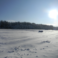 Зима в деревне Чиркино 2