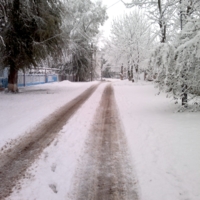 Вполне сельский пейзаж)