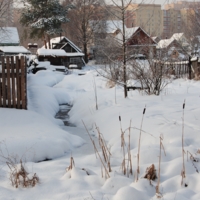 Город наступает .... :(