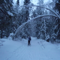 прогулка по зимнему лесу
