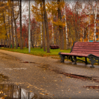 Осенний парк.