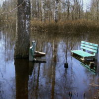 Водоплавающие