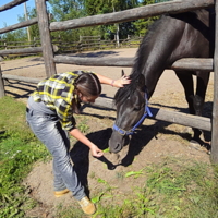 Любительница  лошадей