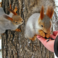 Кто последний?
