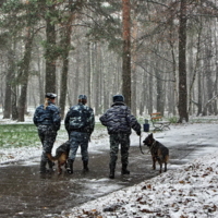 В любую погоду