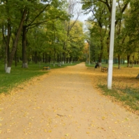 Парк г.Зерноград