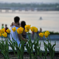 В город пришла любовь...