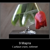 9 Марта