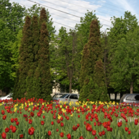 Городской пейзаж