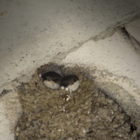 в ожидании маминого прилета