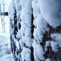 Забор в снежинках.