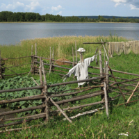 Огород нагородили