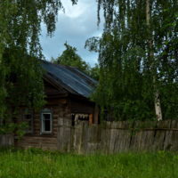 И в огороде выросла березка