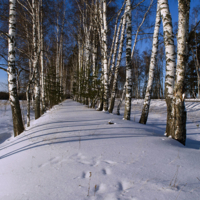 Екатерининский тракт 