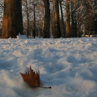 Последний лист