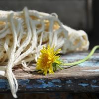 Она ещё вернётся