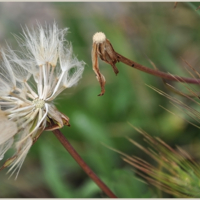 Несильный ветер вдруг подул