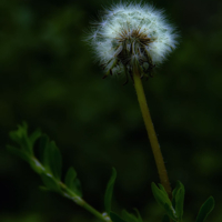 В старости не спится по ночам