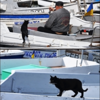 Повезло уговорить поделиться