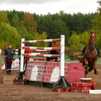 В конкуре всё бывает