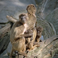 Обед по расписанию