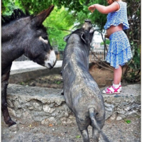 Доброта спасёт мир