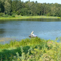 ловись рыбка любая