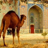 Красиво однако...