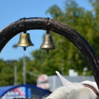 Однозвучно звенит колокольчик