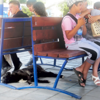 Дежурный по станции на отдыхе))