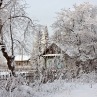 накрыло снегом, точно серебром