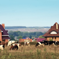 Сельские контрасты