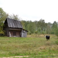 На краю деревни