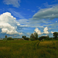 Агрессия