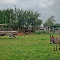 Хмурое утро