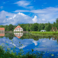 деревня Гадюкино